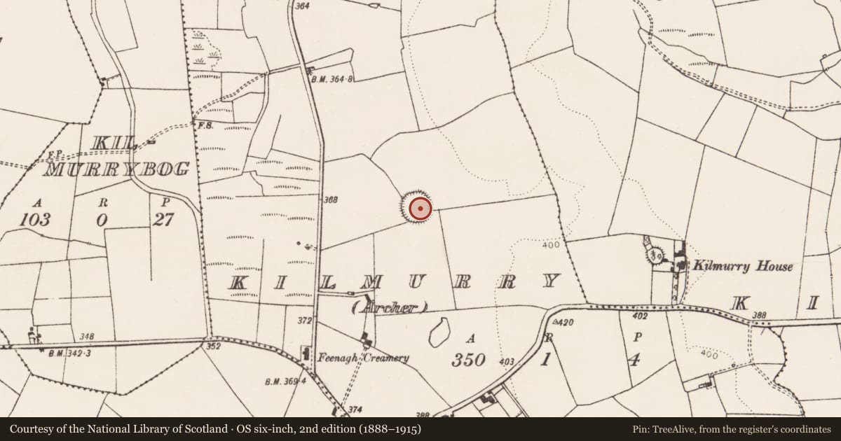 Ordnance Survey six-inch map, 2nd edition (1888–1915) covering the location of Moated site, Kilmurry (Archer), County Limerick, with a pin at the register's coordinates