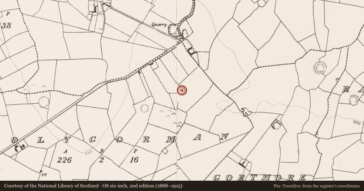 Ordnance Survey six-inch map, 2nd edition (1888–1915) covering the location of Ringfort - rath, Coolygorman, County Limerick, with a pin at the register's coordinates