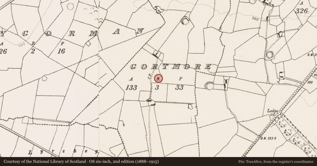 Ordnance Survey six-inch map, 2nd edition (1888–1915) covering the location of Ringfort - rath, Gortmore, County Limerick, with a pin at the register's coordinates