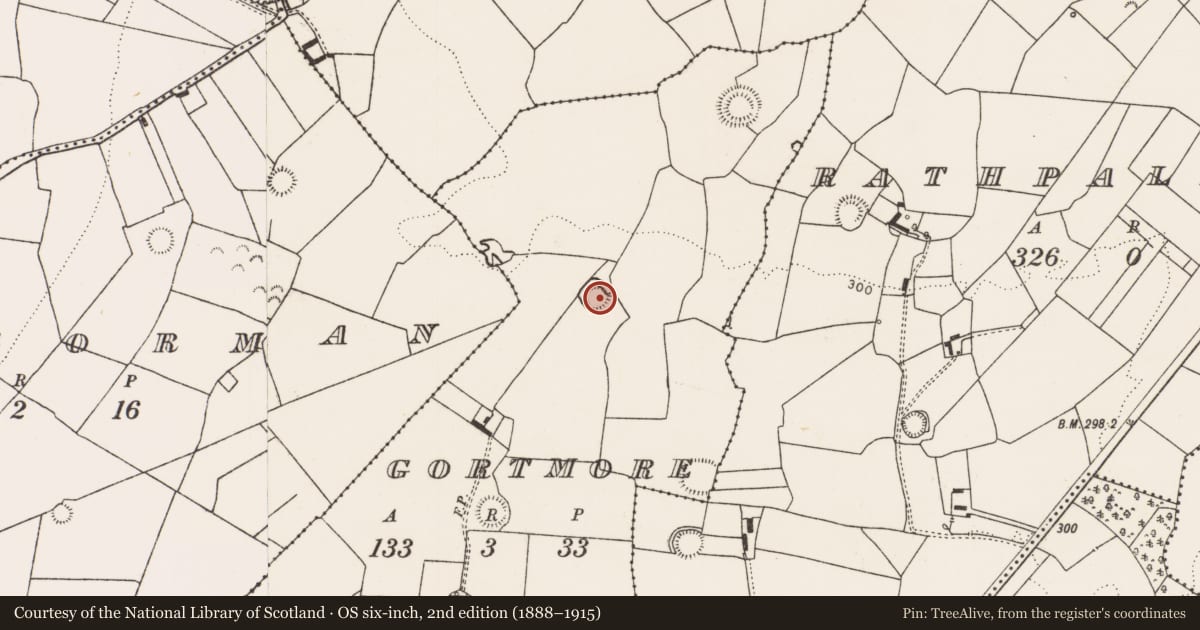 Ordnance Survey six-inch map, 2nd edition (1888–1915) covering the location of Ringfort - rath, Gortmore, County Limerick, with a pin at the register's coordinates