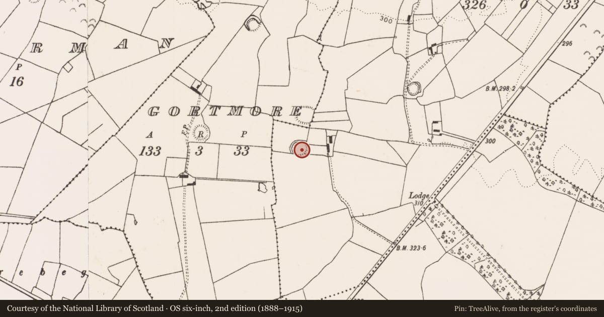 Ordnance Survey six-inch map, 2nd edition (1888–1915) covering the location of Ringfort - rath, Rathpalatine, County Limerick, with a pin at the register's coordinates