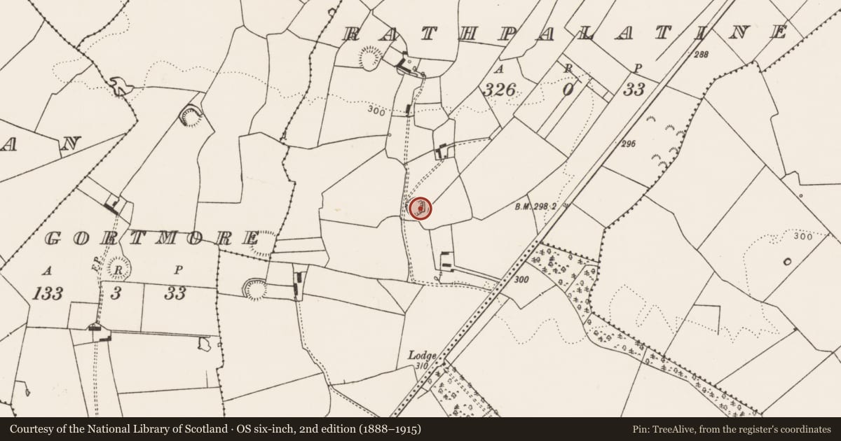 Ordnance Survey six-inch map, 2nd edition (1888–1915) covering the location of Ringfort - rath, Rathpalatine, County Limerick, with a pin at the register's coordinates