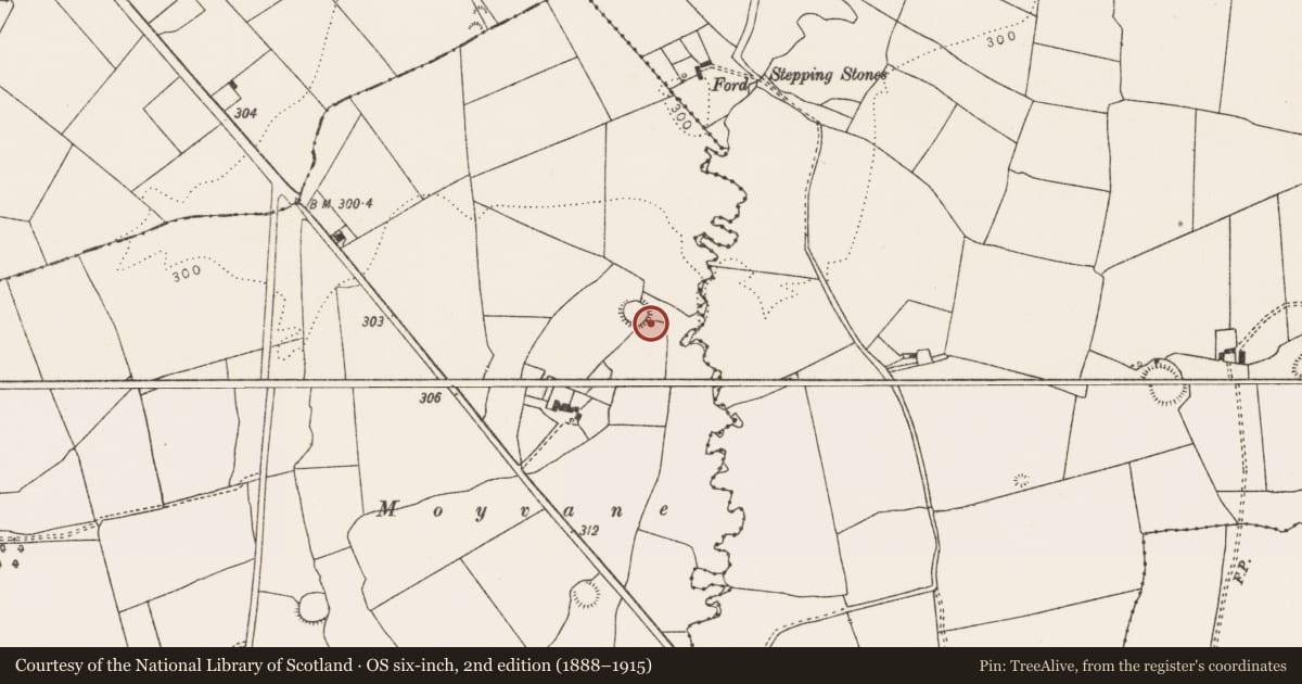 Ordnance Survey six-inch map, 2nd edition (1888–1915) covering the location of Ringfort - rath, Ballinlongig, County Limerick, with a pin at the register's coordinates
