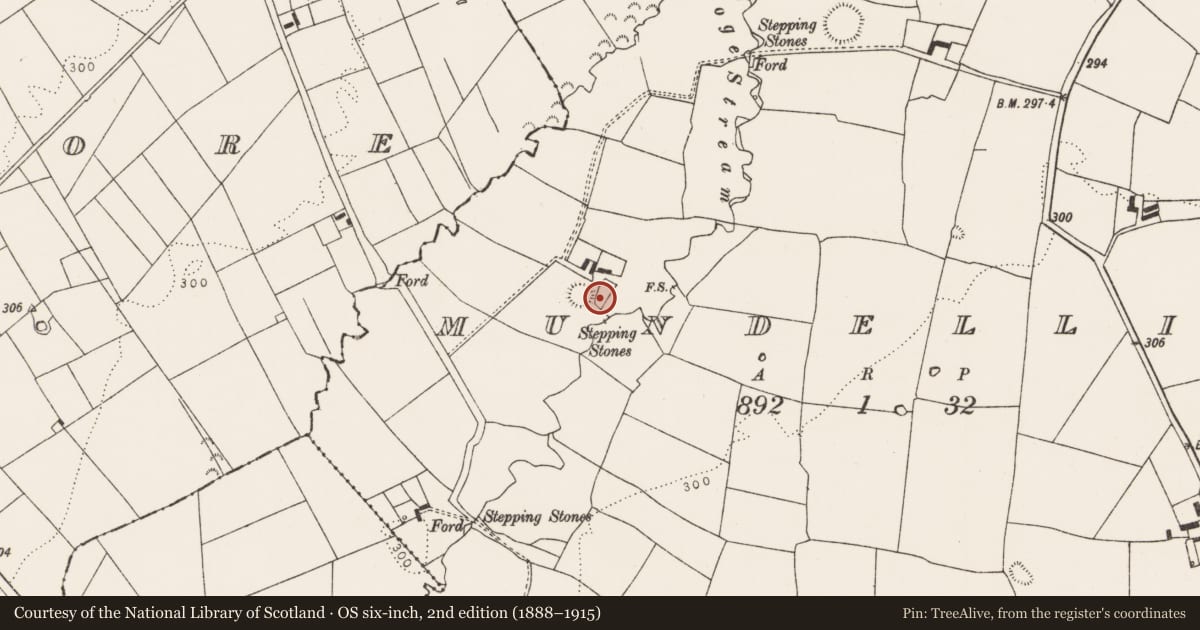 Ordnance Survey six-inch map, 2nd edition (1888–1915) covering the location of Ringfort - rath, Mundellihy, County Limerick, with a pin at the register's coordinates