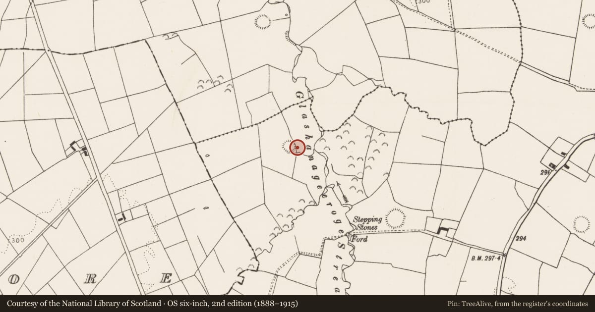 Ordnance Survey six-inch map, 2nd edition (1888–1915) covering the location of Ringfort - rath, Mundellihy, County Limerick, with a pin at the register's coordinates