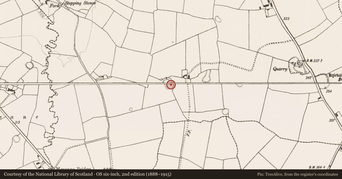 Ordnance Survey six-inch map, 2nd edition (1888–1915) covering the location of Ringfort - rath, Mundellihy, County Limerick, with a pin at the register's coordinates