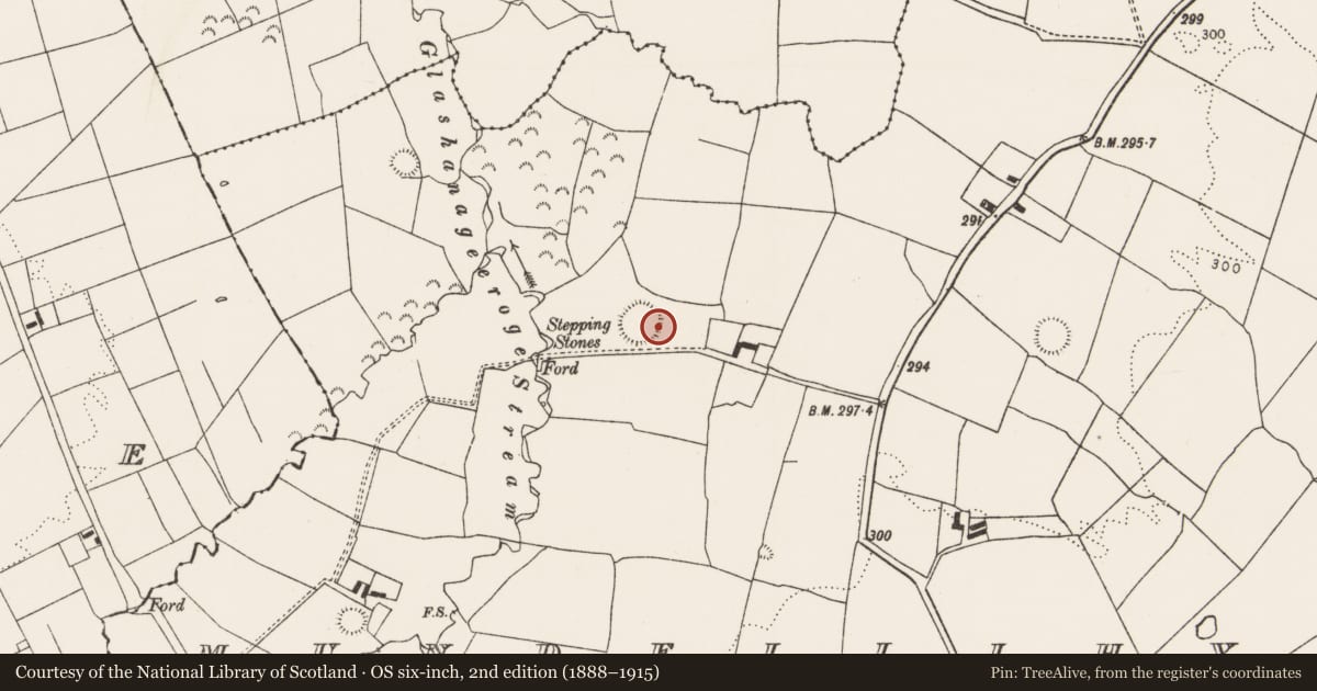 Ordnance Survey six-inch map, 2nd edition (1888–1915) covering the location of Ringfort - rath, Mundellihy, County Limerick, with a pin at the register's coordinates