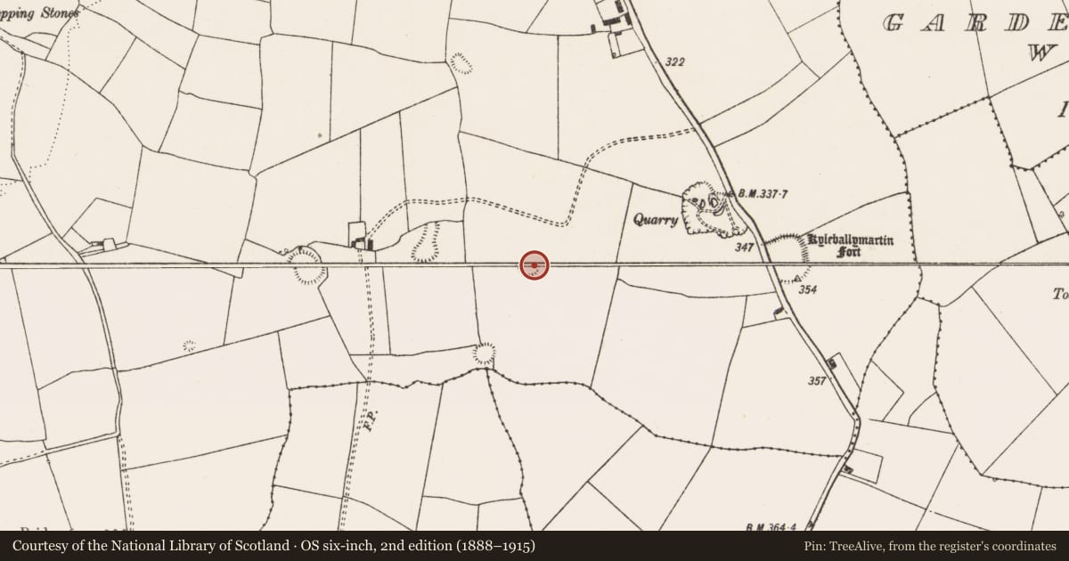 Ordnance Survey six-inch map, 2nd edition (1888–1915) covering the location of Ringfort - rath, Mundellihy, County Limerick, with a pin at the register's coordinates