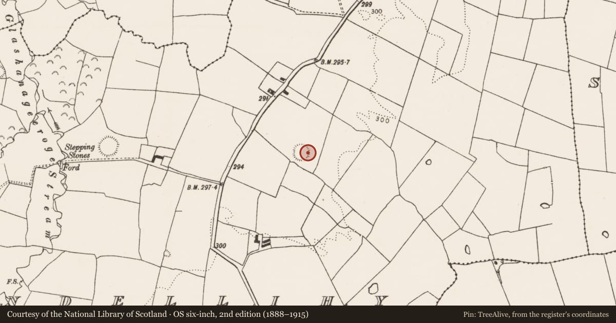 Ordnance Survey six-inch map, 2nd edition (1888–1915) covering the location of Ringfort - rath, Mundellihy, County Limerick, with a pin at the register's coordinates