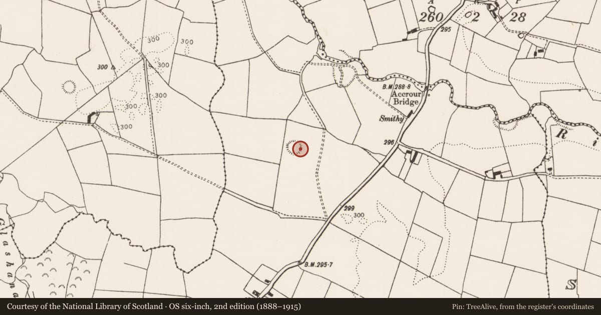 Ordnance Survey six-inch map, 2nd edition (1888–1915) covering the location of Ringfort - rath, Mundellihy, County Limerick, with a pin at the register's coordinates