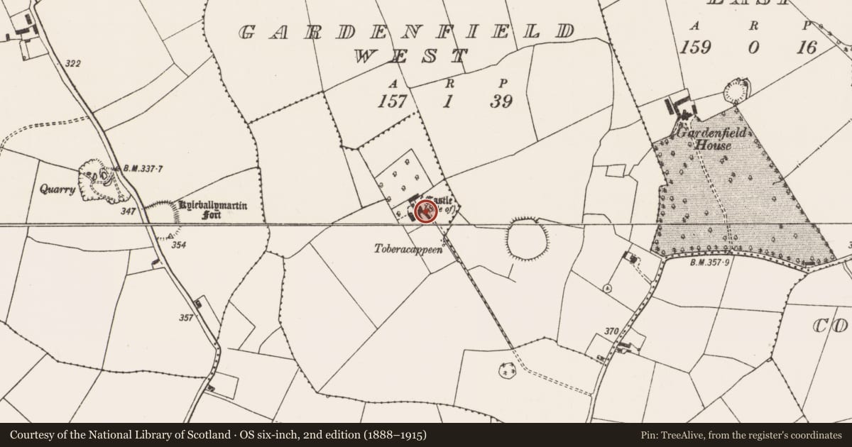 Ordnance Survey six-inch map, 2nd edition (1888–1915) covering the location of Castle - unclassified, Gardenfield South, County Limerick, with a pin at the register's coordinates