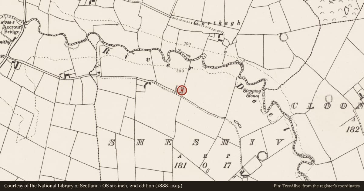 Ordnance Survey six-inch map, 2nd edition (1888–1915) covering the location of Ringfort - rath, Sheshiv, County Limerick, with a pin at the register's coordinates