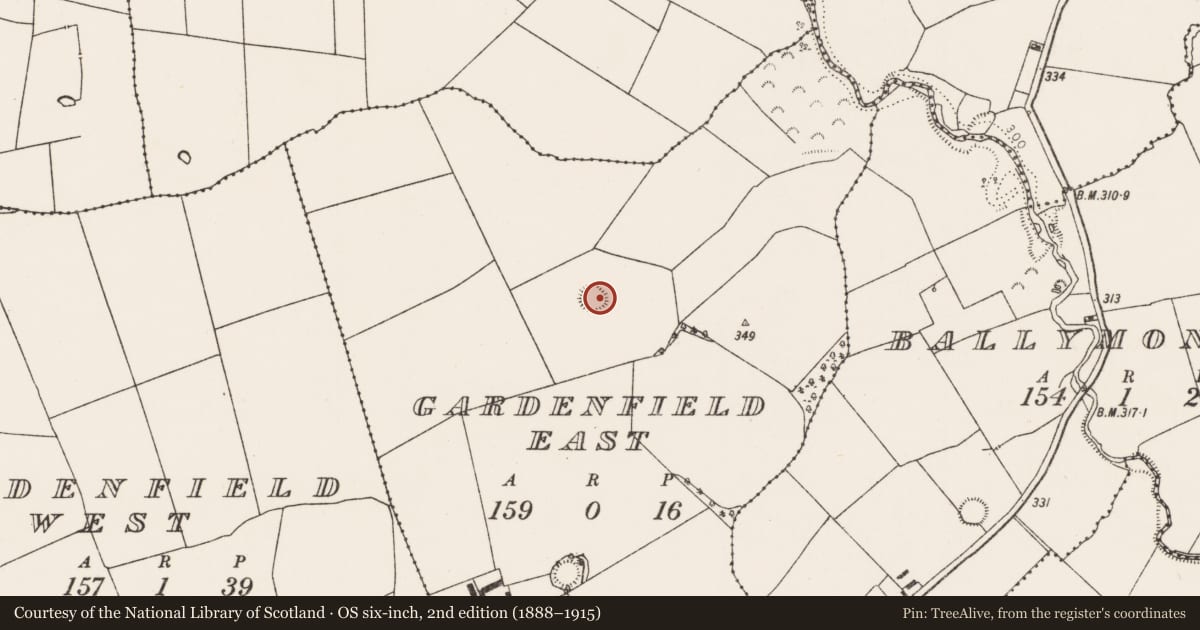 Ordnance Survey six-inch map, 2nd edition (1888–1915) covering the location of Enclosure, Gardenfield East, County Limerick, with a pin at the register's coordinates