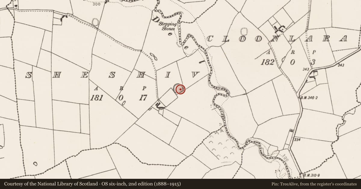 Ordnance Survey six-inch map, 2nd edition (1888–1915) covering the location of Ringfort - rath, Sheshiv, County Limerick, with a pin at the register's coordinates