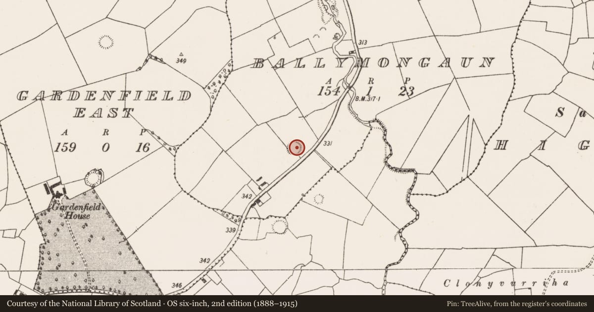 Ordnance Survey six-inch map, 2nd edition (1888–1915) covering the location of Ringfort - rath, Ballymongaun, County Limerick, with a pin at the register's coordinates