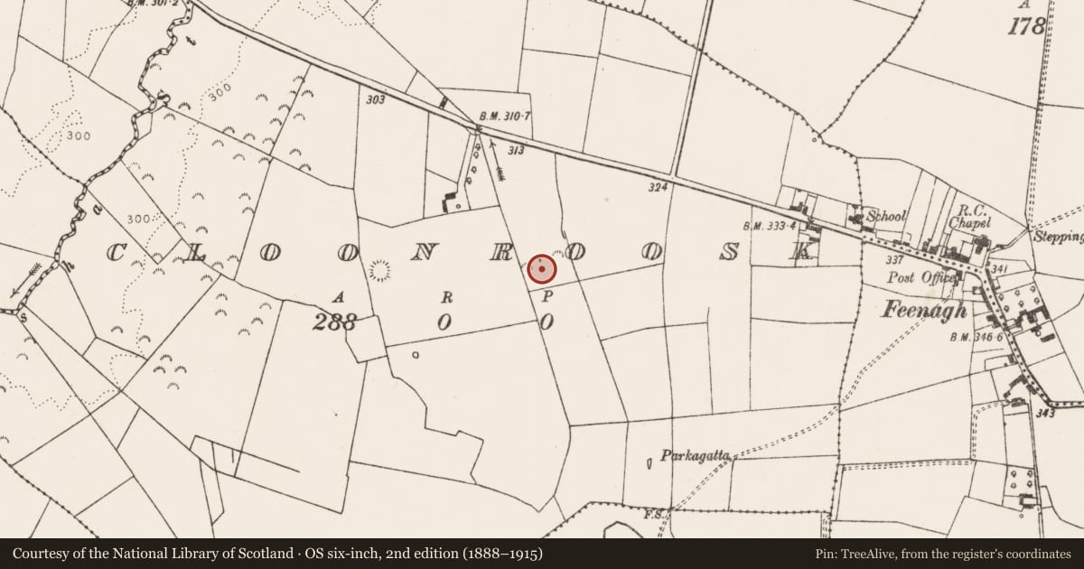 Ordnance Survey six-inch map, 2nd edition (1888–1915) covering the location of Ringfort - rath, Cloonroosk, County Limerick, with a pin at the register's coordinates