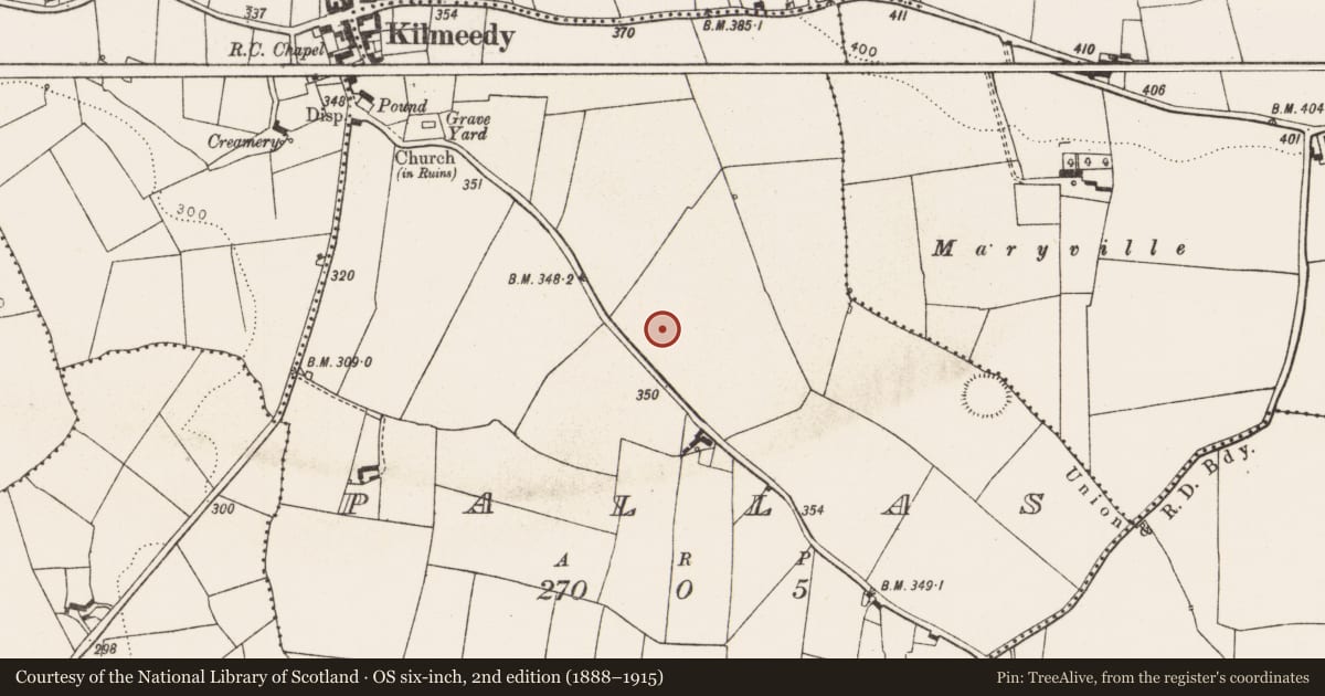 Ordnance Survey six-inch map, 2nd edition (1888–1915) covering the location of Castle - unclassified, Pallas, County Limerick, with a pin at the register's coordinates