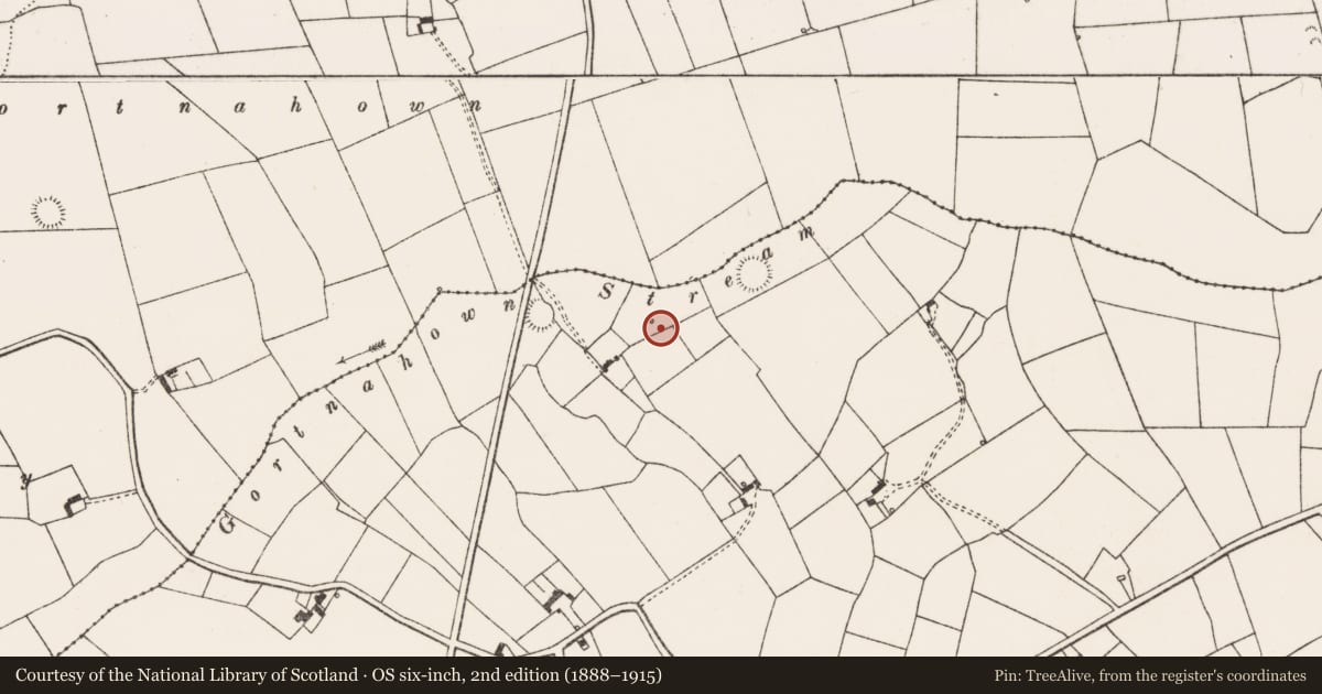 Ordnance Survey six-inch map, 2nd edition (1888–1915) covering the location of Fulacht fia, Clooncrippa, County Limerick, with a pin at the register's coordinates