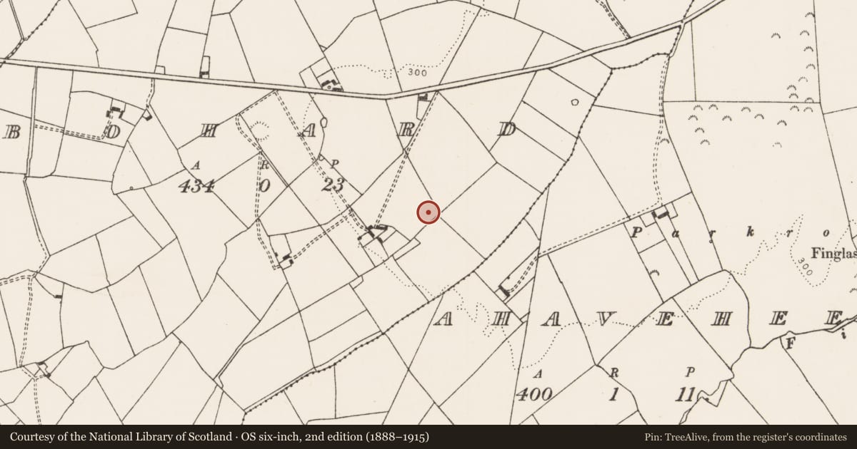 Ordnance Survey six-inch map, 2nd edition (1888–1915) covering the location of Earthwork, Bohard, County Limerick, with a pin at the register's coordinates