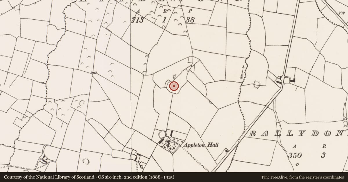 Ordnance Survey six-inch map, 2nd edition (1888–1915) covering the location of Earthwork, Appletown, County Limerick, with a pin at the register's coordinates