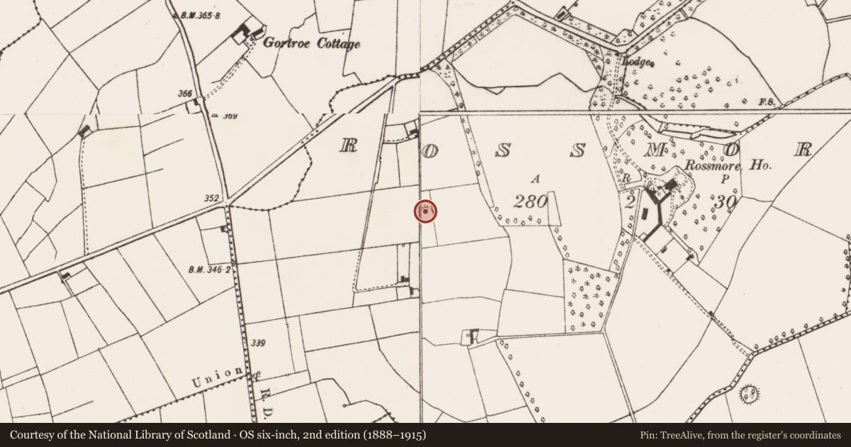 Ordnance Survey six-inch map, 2nd edition (1888–1915) covering the location of Moated site, Rossmore, County Limerick, with a pin at the register's coordinates