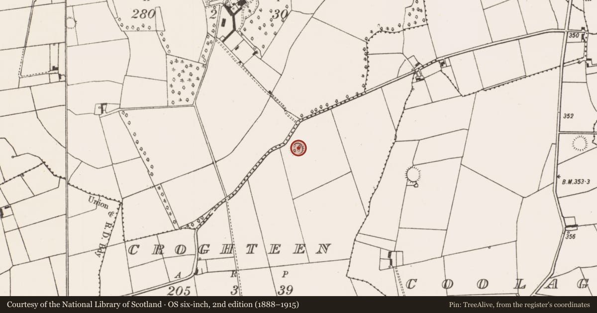 Ordnance Survey six-inch map, 2nd edition (1888–1915) covering the location of Ringfort - rath, Croghteen, County Limerick, with a pin at the register's coordinates