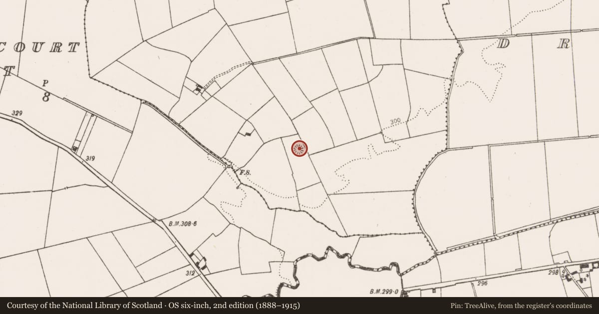 Ordnance Survey six-inch map, 2nd edition (1888–1915) covering the location of Ringfort - rath, Cloonee, County Limerick, with a pin at the register's coordinates