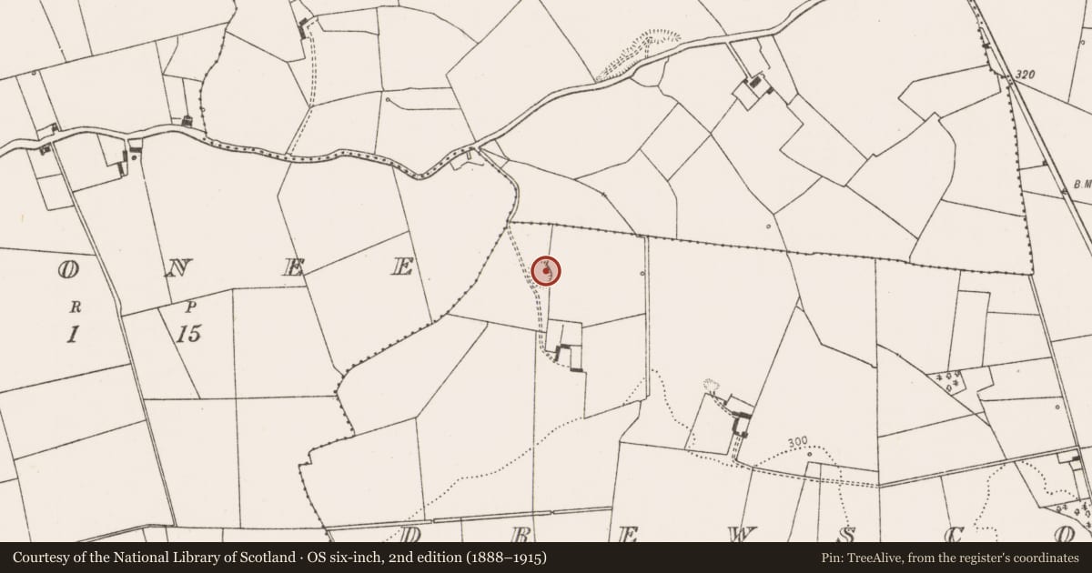 Ordnance Survey six-inch map, 2nd edition (1888–1915) covering the location of Ringfort - rath, Drewscourt East, County Limerick, with a pin at the register's coordinates