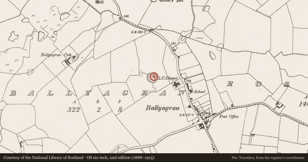 Ordnance Survey six-inch map, 2nd edition (1888–1915) covering the location of Ringfort - rath, Ballyagran, County Limerick, with a pin at the register's coordinates