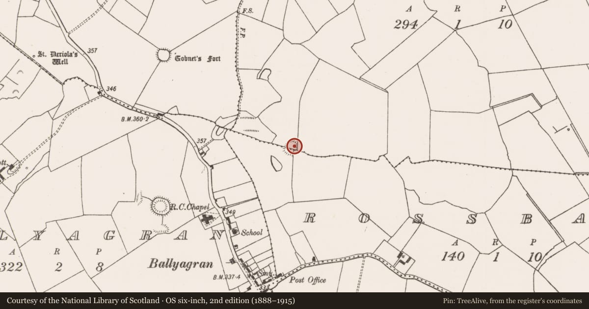Ordnance Survey six-inch map, 2nd edition (1888–1915) covering the location of Ringfort - rath, Ballysalla, County Limerick, with a pin at the register's coordinates