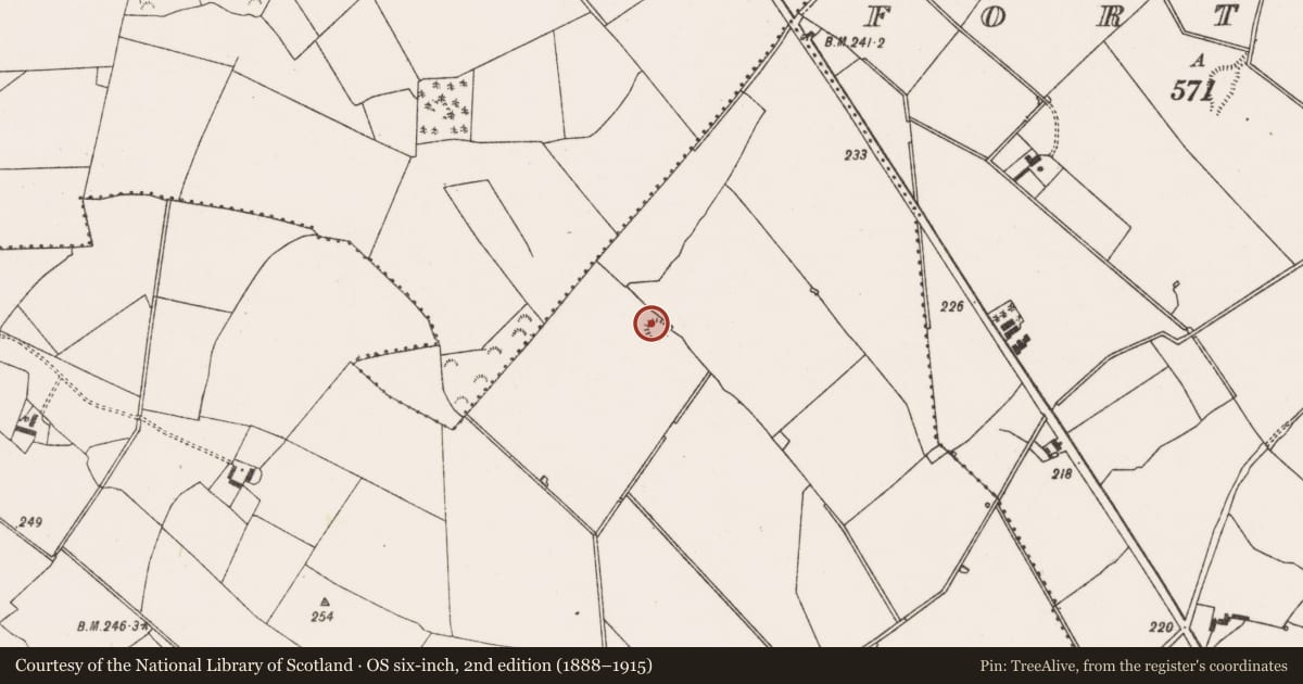 Ordnance Survey six-inch map, 2nd edition (1888–1915) covering the location of Ringfort - rath, Fort Middle, County Limerick, with a pin at the register's coordinates