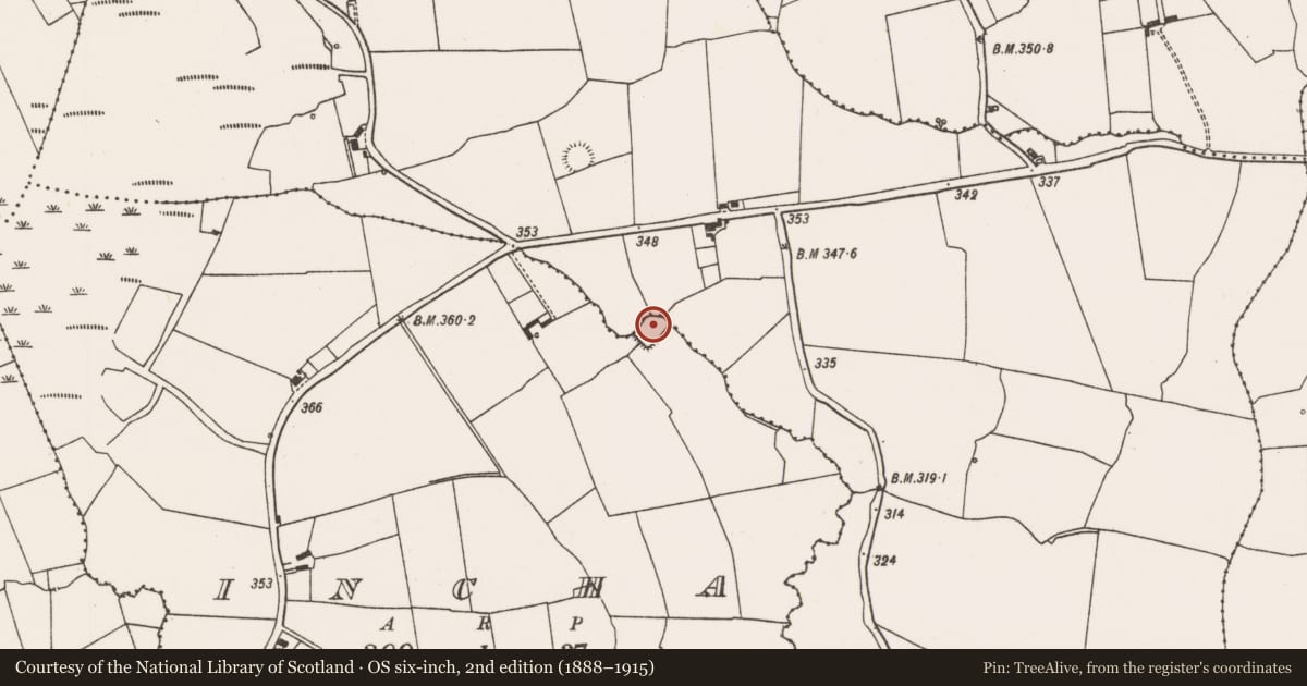 Ordnance Survey six-inch map, 2nd edition (1888–1915) covering the location of Moated site, Incha, County Limerick, with a pin at the register's coordinates