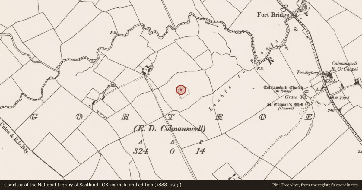 Ordnance Survey six-inch map, 2nd edition (1888–1915) covering the location of Moated site, Gortroe, County Limerick, with a pin at the register's coordinates