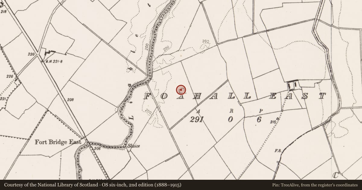 Ordnance Survey six-inch map, 2nd edition (1888–1915) covering the location of Enclosure, Foxhall East, County Limerick, with a pin at the register's coordinates