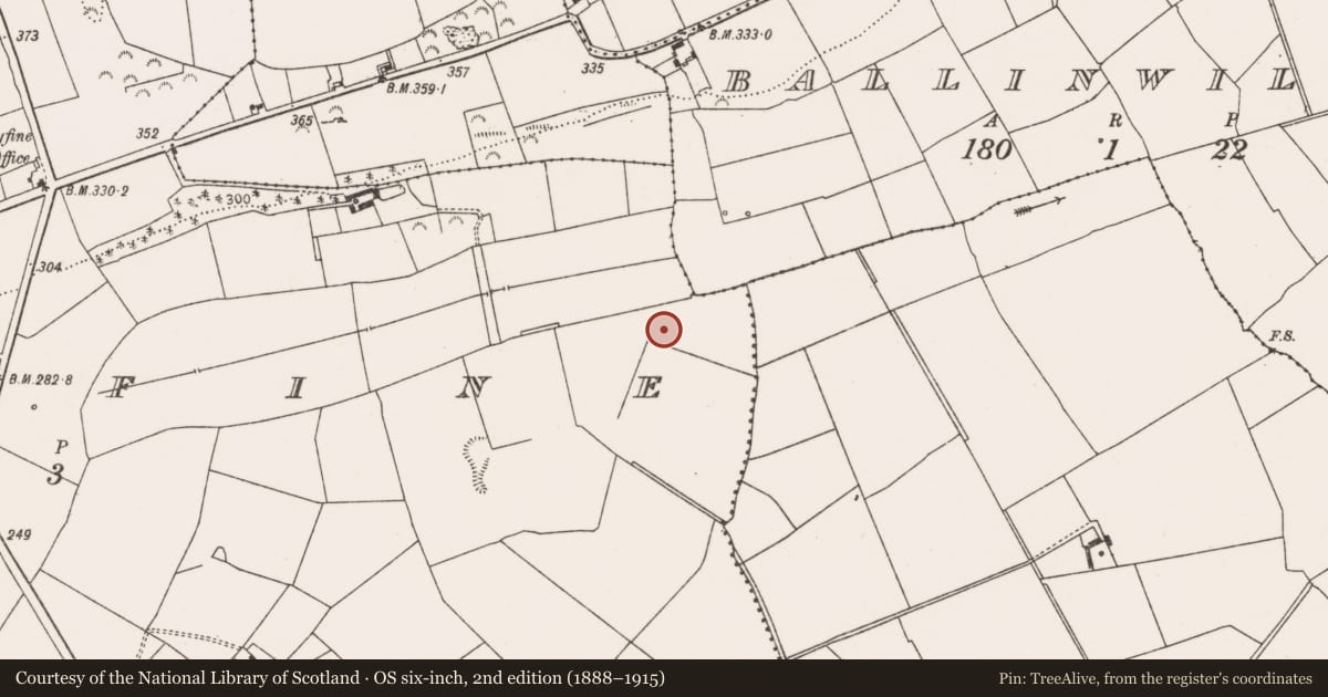 Ordnance Survey six-inch map, 2nd edition (1888–1915) covering the location of Earthwork, Garryfine, County Limerick, with a pin at the register's coordinates