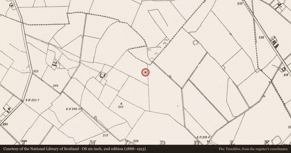 Ordnance Survey six-inch map, 2nd edition (1888–1915) covering the location of Enclosure, Fort Middle, County Limerick, with a pin at the register's coordinates