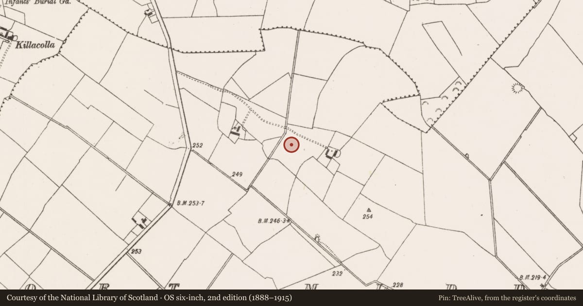 Ordnance Survey six-inch map, 2nd edition (1888–1915) covering the location of Enclosure, Fort Middle, County Limerick, with a pin at the register's coordinates