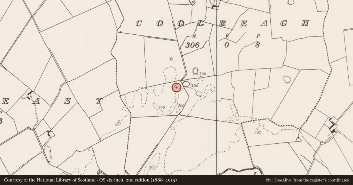 Ordnance Survey six-inch map, 2nd edition (1888–1915) covering the location of Ring-ditch, Coolreagh, County Limerick, with a pin at the register's coordinates