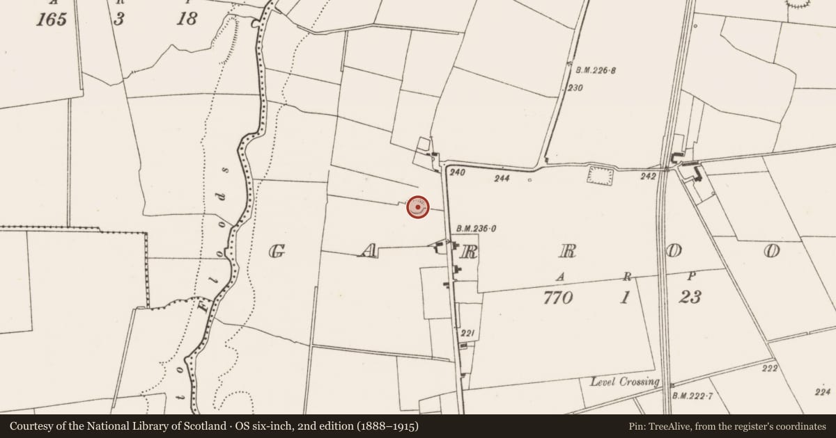 Ordnance Survey six-inch map, 2nd edition (1888–1915) covering the location of Enclosure, Garroose, County Limerick, with a pin at the register's coordinates