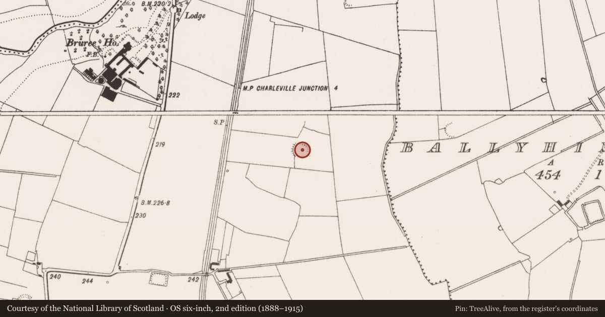 Ordnance Survey six-inch map, 2nd edition (1888–1915) covering the location of Ringfort - rath, Garroose, County Limerick, with a pin at the register's coordinates