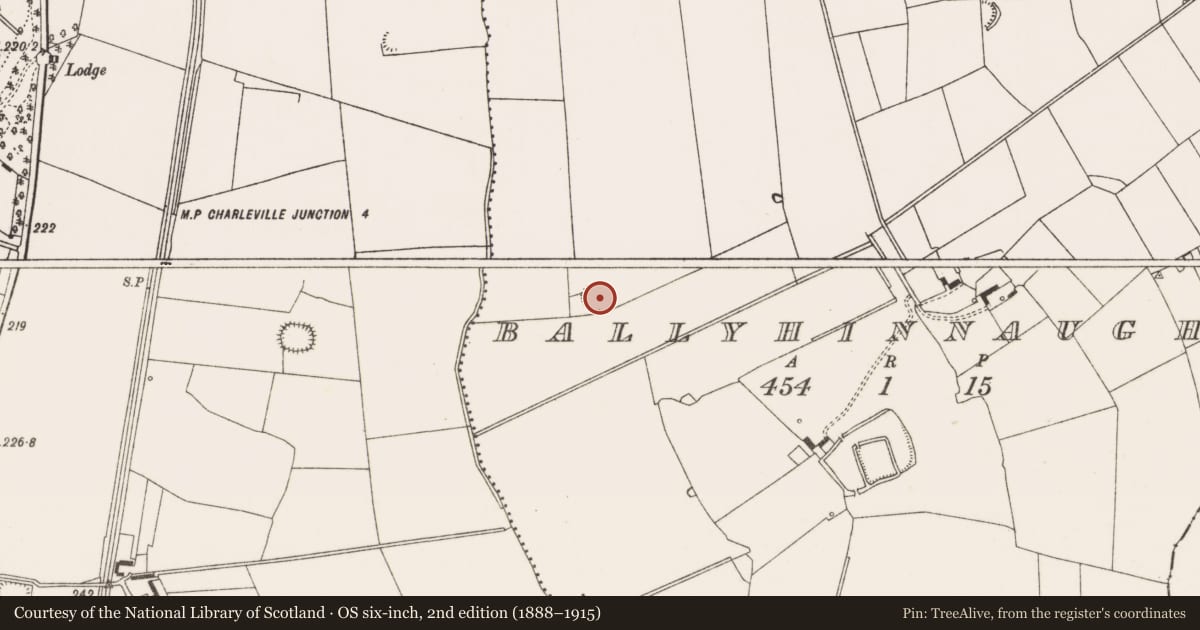 Ordnance Survey six-inch map, 2nd edition (1888–1915) covering the location of Ringfort - rath, Ballyhinnaught, County Limerick, with a pin at the register's coordinates