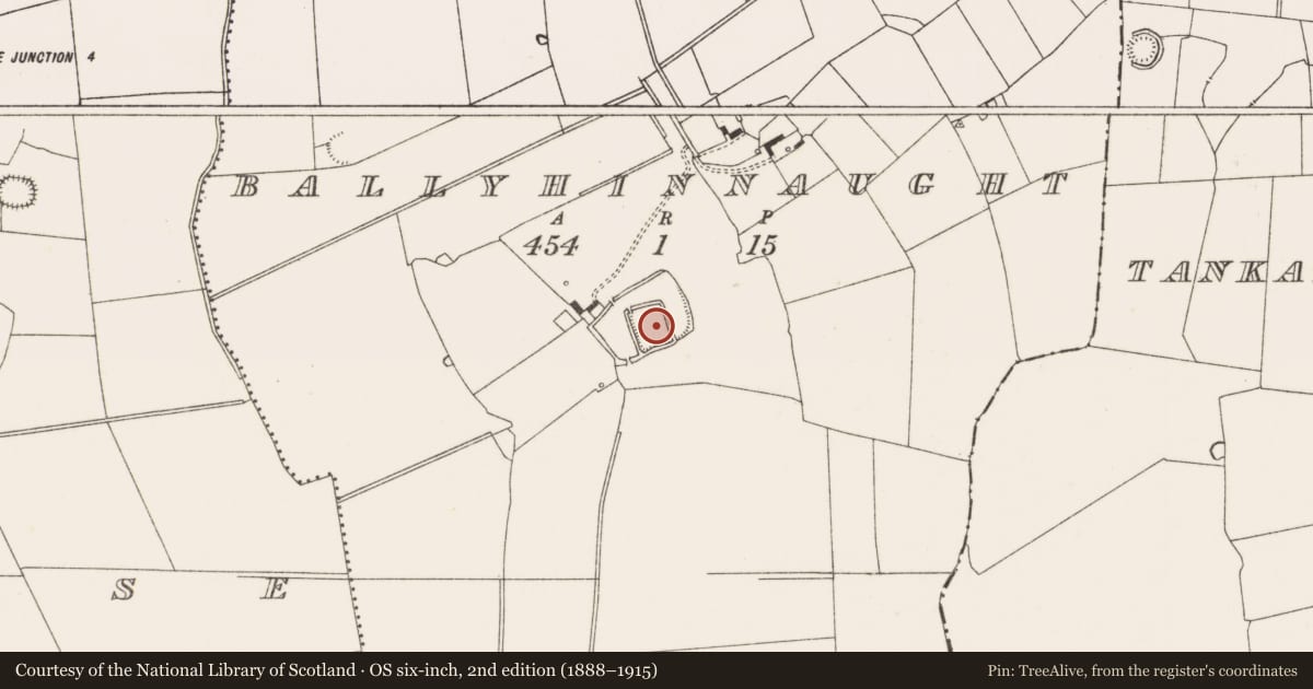 Ordnance Survey six-inch map, 2nd edition (1888–1915) covering the location of Moated site, Ballyhinnaught, County Limerick, with a pin at the register's coordinates