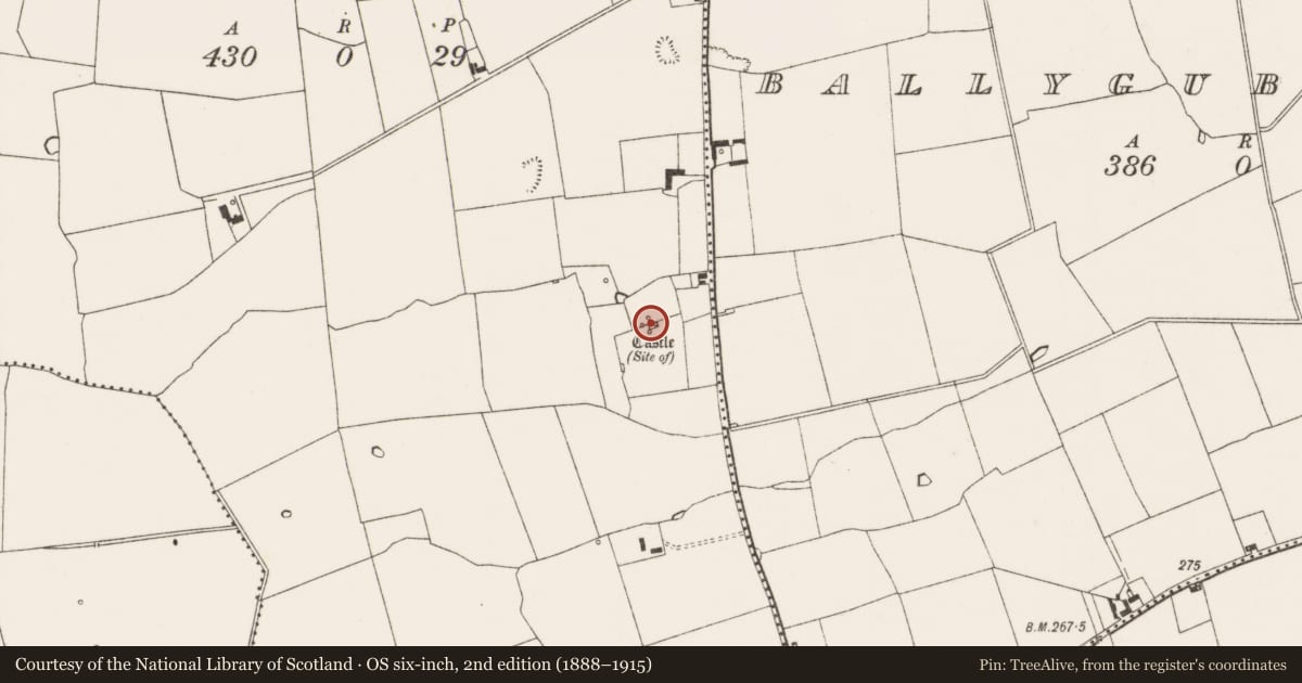 Ordnance Survey six-inch map, 2nd edition (1888–1915) covering the location of Castle - unclassified, Tankardstown North, County Limerick, with a pin at the register's coordinates