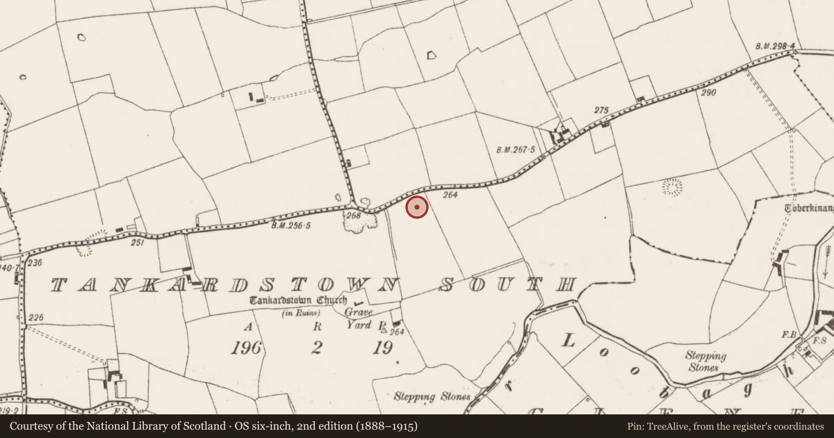 Ordnance Survey six-inch map, 2nd edition (1888–1915) covering the location of House - Neolithic, Tankardstown South, County Limerick, with a pin at the register's coordinates