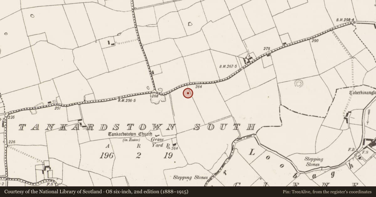 Ordnance Survey six-inch map, 2nd edition (1888–1915) covering the location of Excavation - miscellaneous, Tankardstown South, County Limerick, with a pin at the register's coordinates