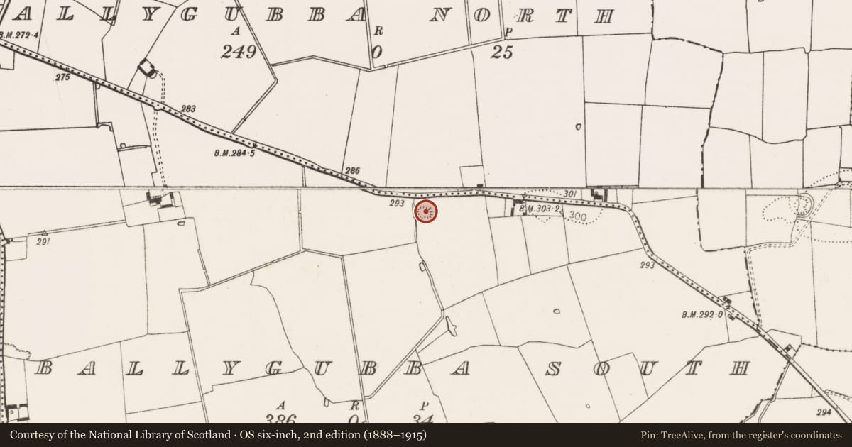 Ordnance Survey six-inch map, 2nd edition (1888–1915) covering the location of Earthwork, Ballygubba South, County Limerick, with a pin at the register's coordinates