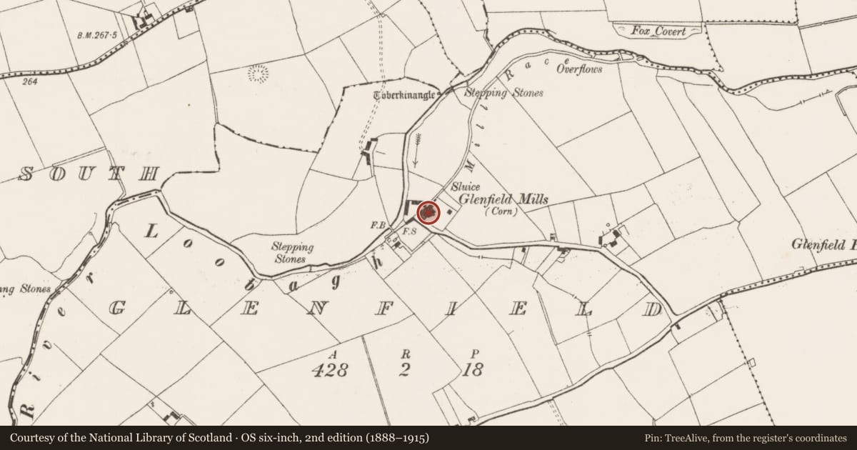 Ordnance Survey six-inch map, 2nd edition (1888–1915) covering the location of Water mill - unclassified, Glenfield, County Limerick, with a pin at the register's coordinates