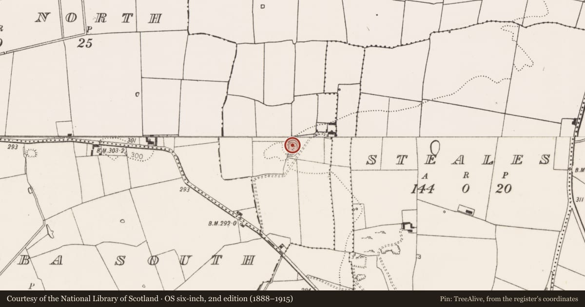 Ordnance Survey six-inch map, 2nd edition (1888–1915) covering the location of Earthwork, Mountfox, County Limerick, with a pin at the register's coordinates