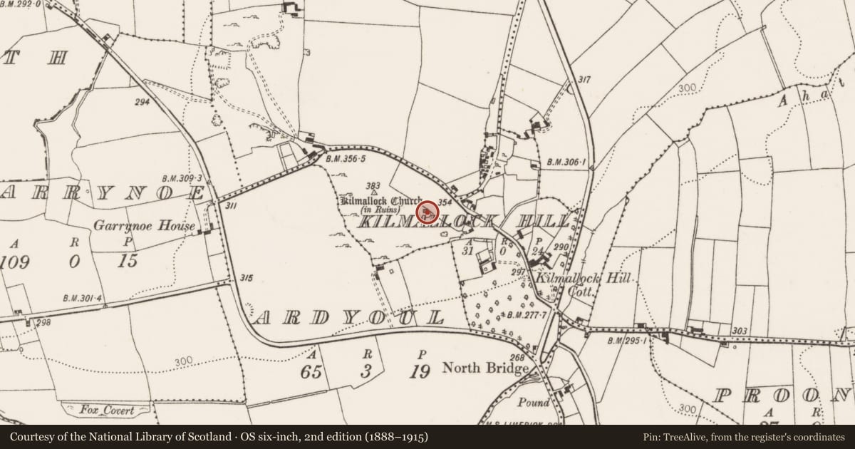 Ordnance Survey six-inch map, 2nd edition (1888–1915) covering the location of Church, Kilmallock Hill, County Limerick, with a pin at the register's coordinates