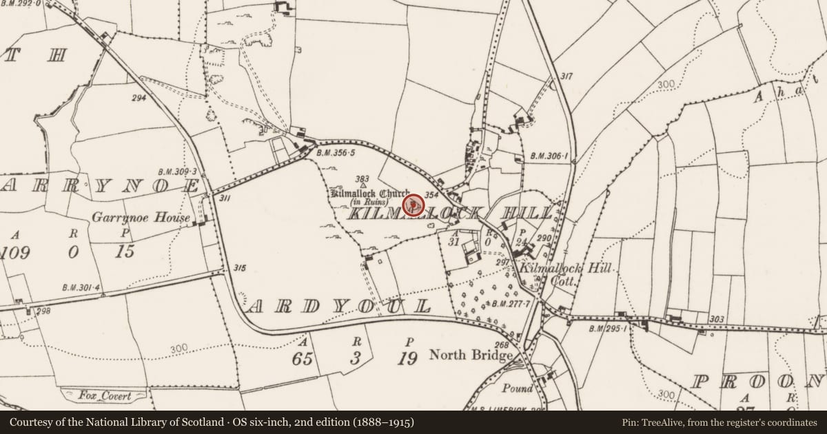 Ordnance Survey six-inch map, 2nd edition (1888–1915) covering the location of Graveyard, Kilmallock Hill, County Limerick, with a pin at the register's coordinates